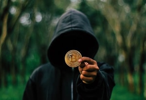 Bitcoins ersteigern: Woher stammen die Kryptowährungen?